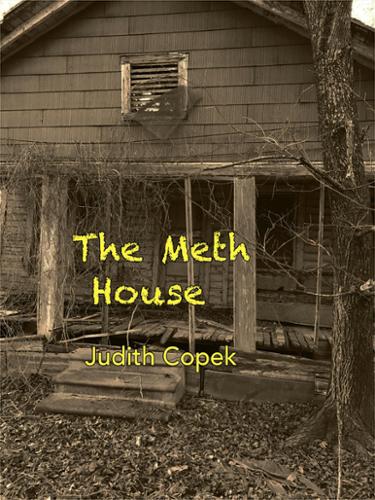 Set in my home state of Colorado. An old cabin, a frightened little girl,  a lawyer, a PI, and a couple of very bad hombre add up to an exciting novelette. 